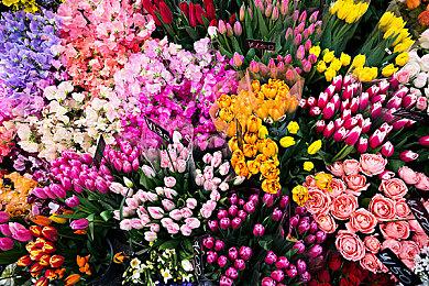 玩家自制版《生化危机：代号维罗妮卡》场景视频