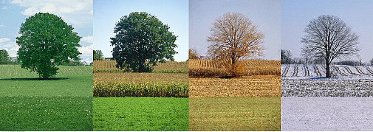 《时空奥德赛》抢先体验试玩：当幻想与探索重新定义韩式MMO